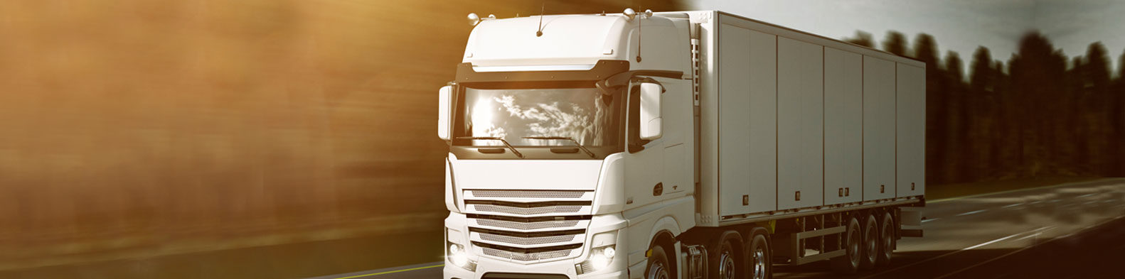 Driving Lessons truck-banner