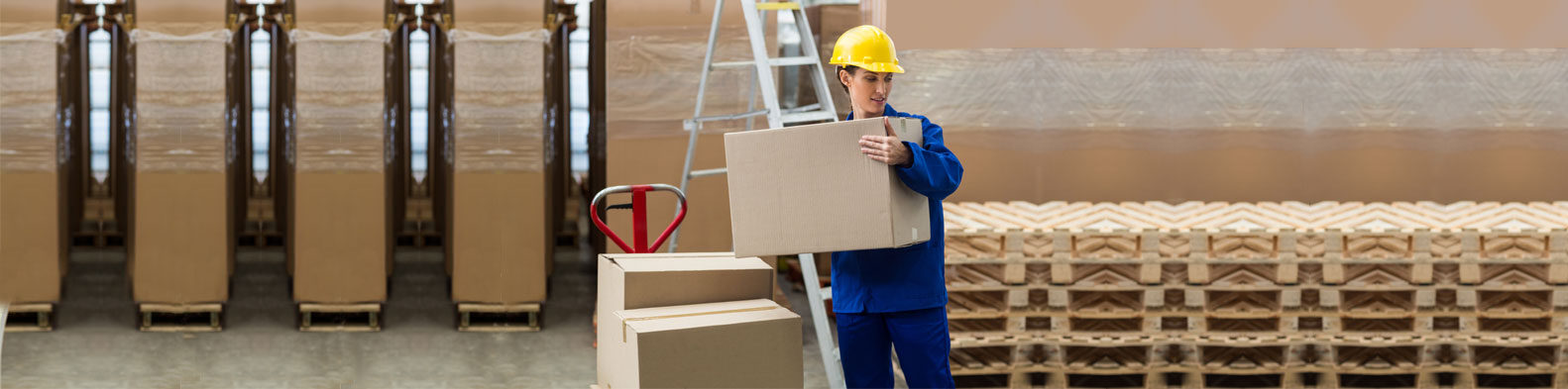 manual handling course cork